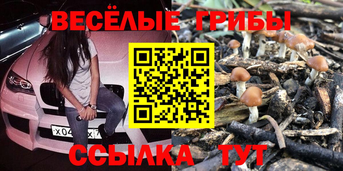 Удомля  Галлюциногенные грибы мухоморы  Вход с VPN  Галлюциногенные грибы Magic Shrooms 