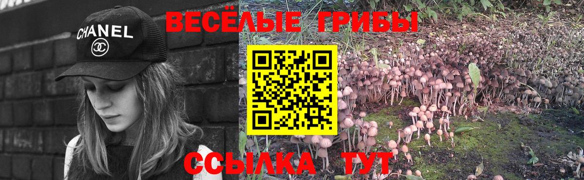 Псилоцибиновые грибы Magic Shrooms Удомля